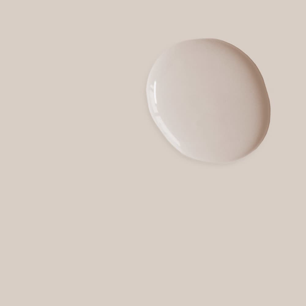 ポワントシルク